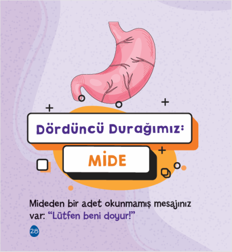 Vücudumuzdaki Değirmen