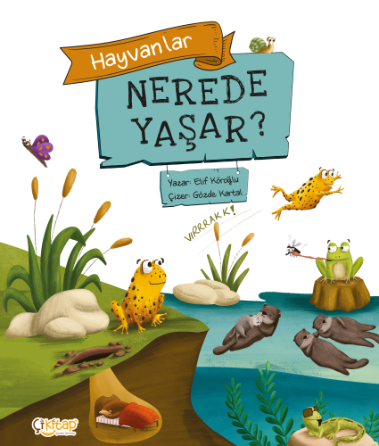 Hayvanlar Nerede Yaşar?